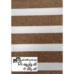 زبرا کد ۱۰۹_۰۲